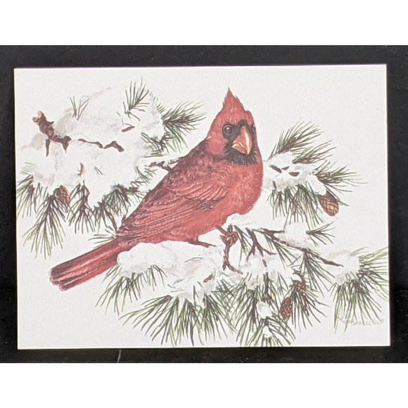 Wild Bird Notecards Blank LOT OF 13 Some Duplicates 4.25 x 5.5" White Envelopes - Picture 8 of 11